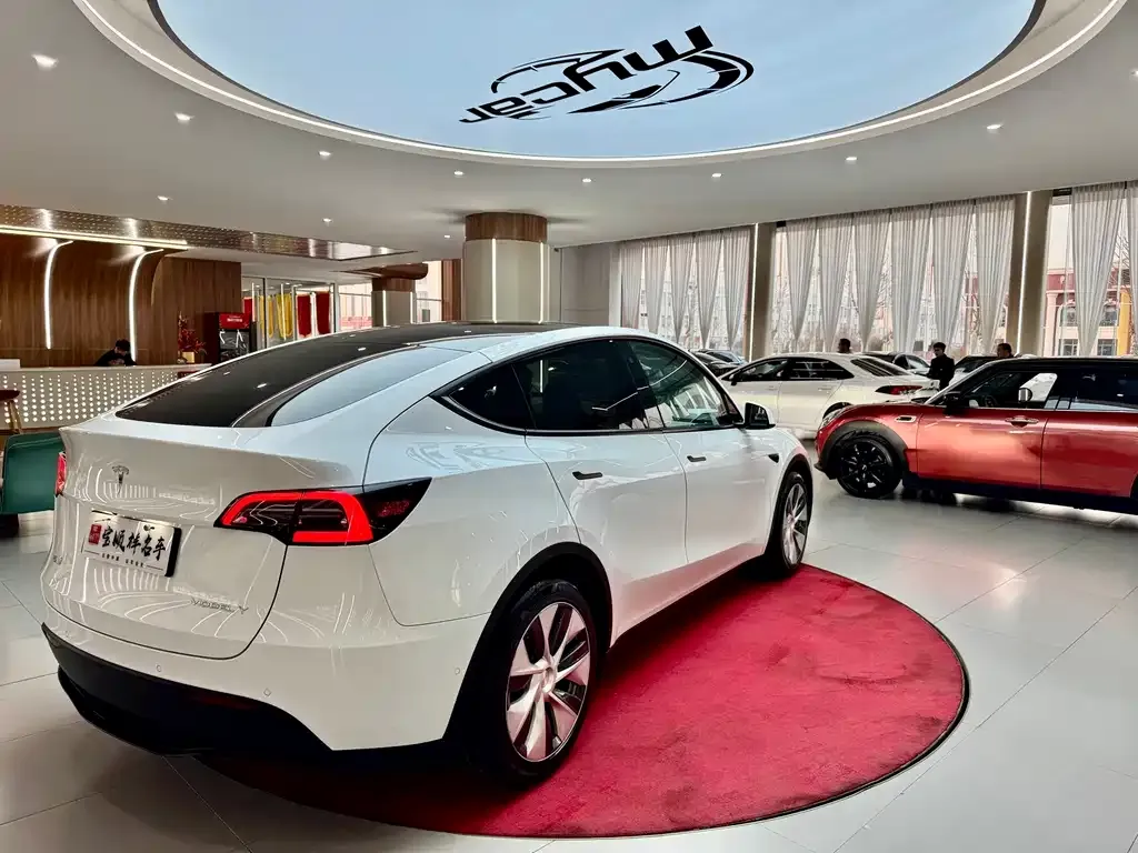 Tesla Model Y 2021 из CN, фото 9