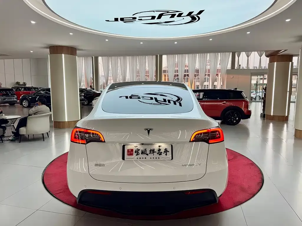 Tesla Model Y 2021 из CN, фото 4