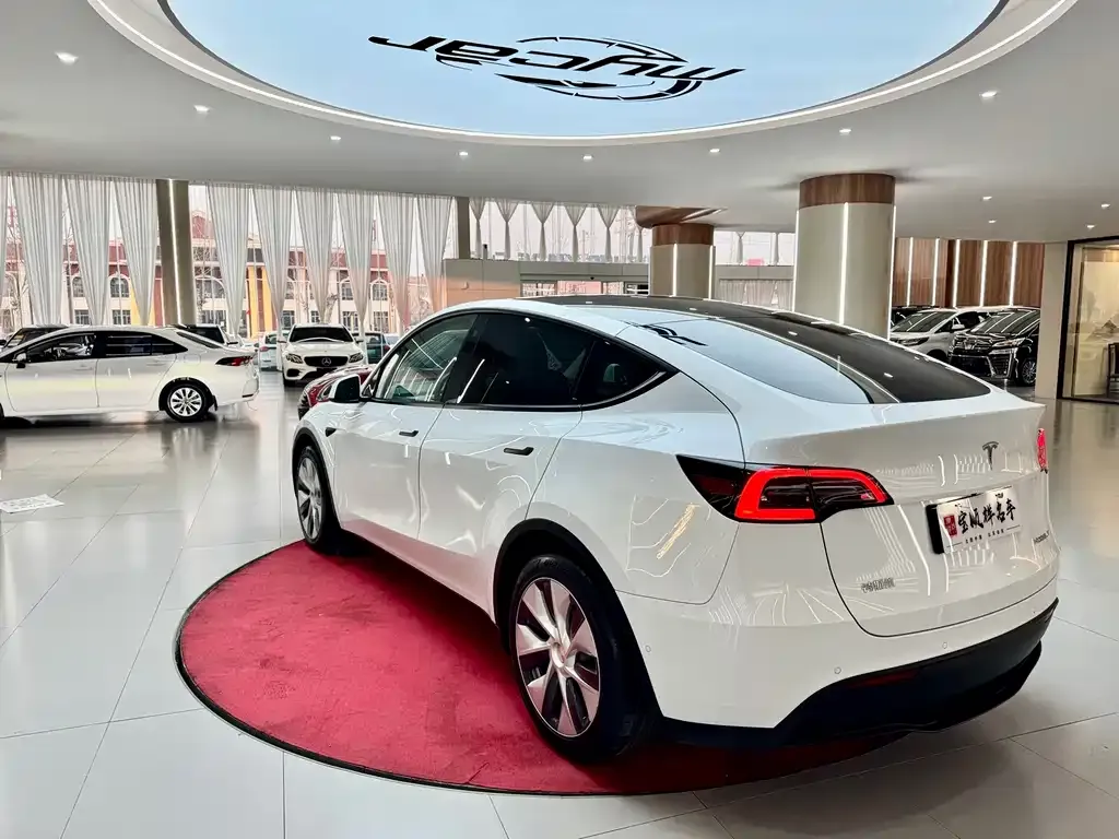 Tesla Model Y 2021 из CN, фото 5