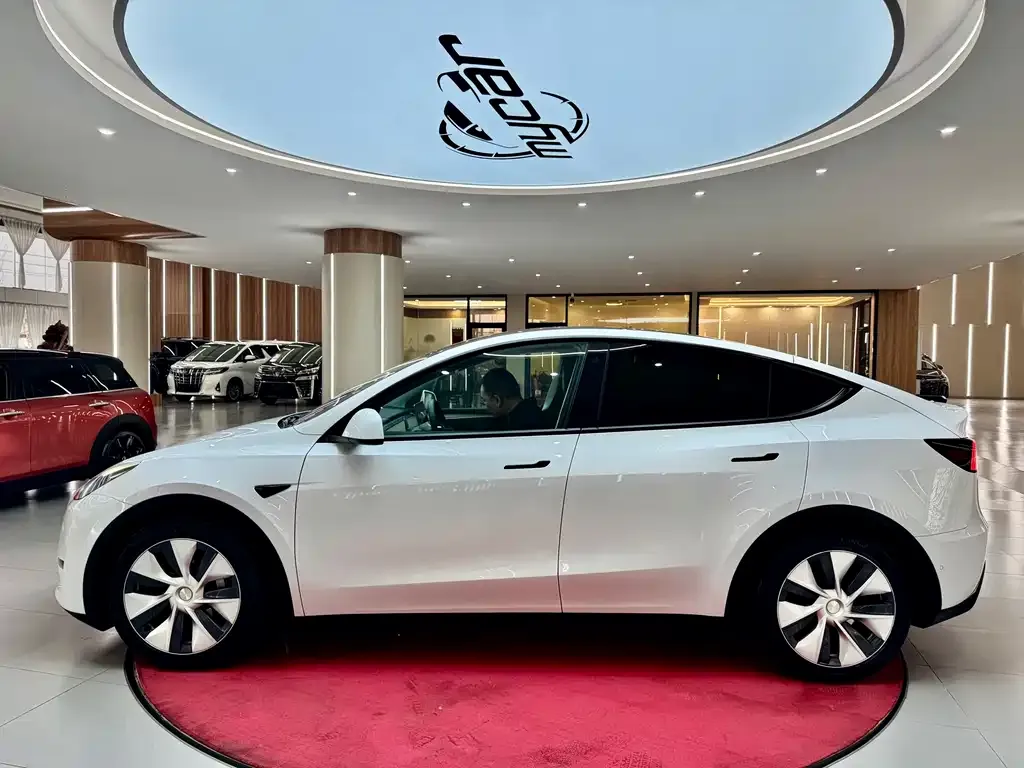 Tesla Model Y 2021 из CN, фото 3