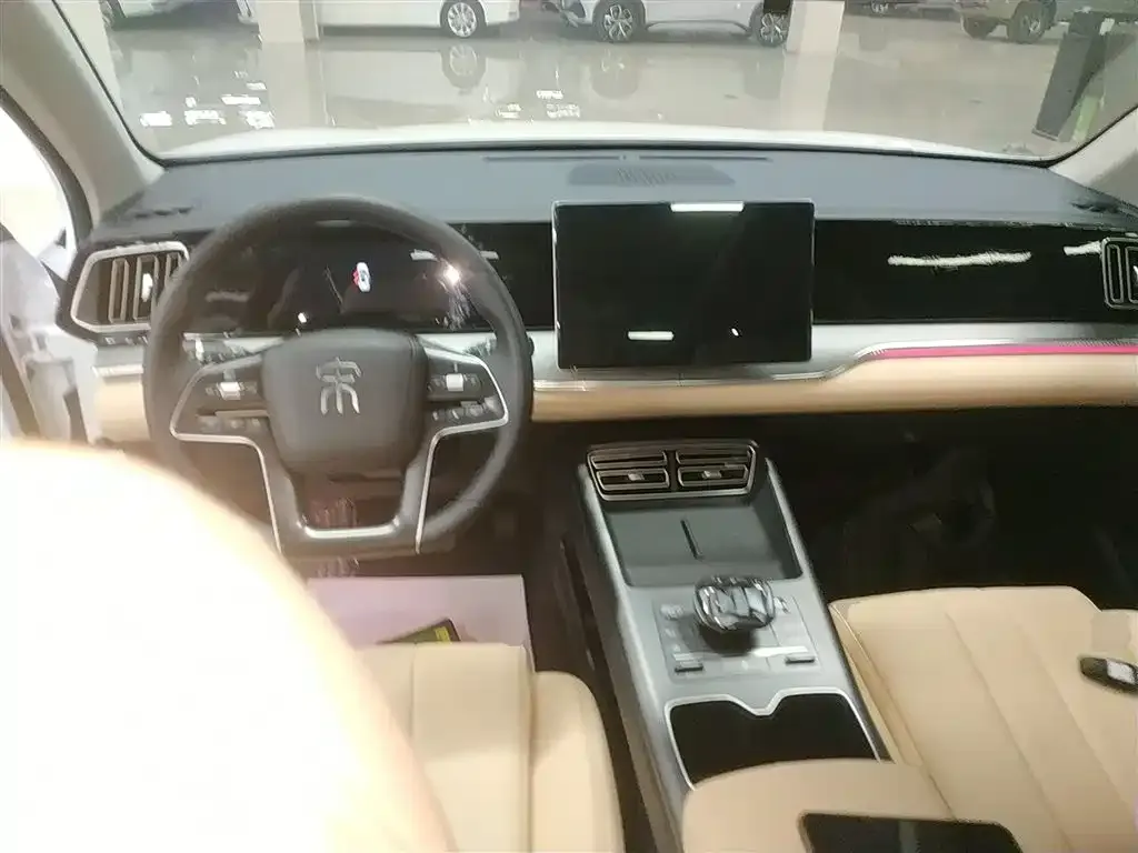 BYD Pro New Energy 2025 из CN, фото 2