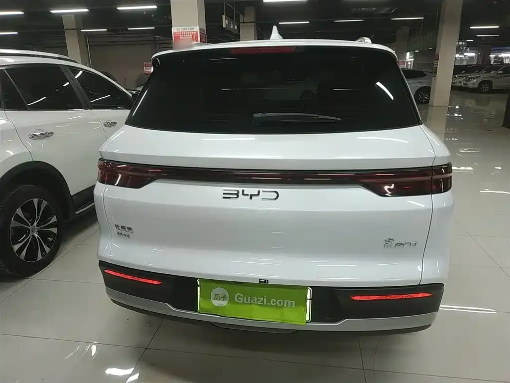 BYD Pro New Energy 2025 из CN, фото 7