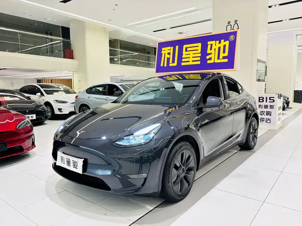Tesla Model Y — фото 1
