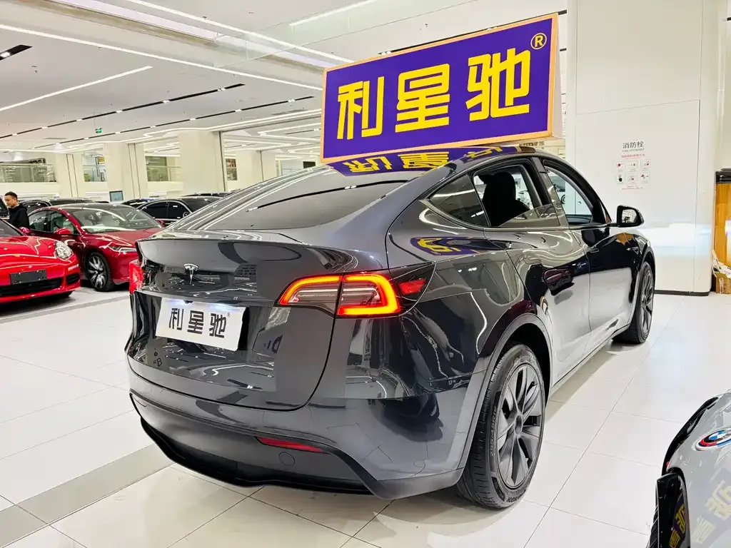 Tesla Model Y — фото 10