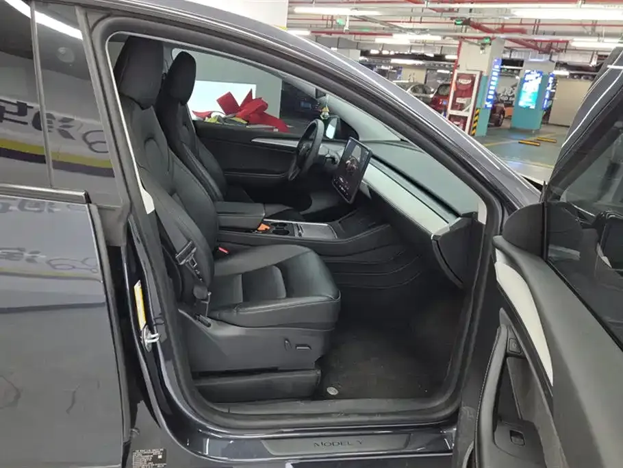 Tesla Model Y — фото 10