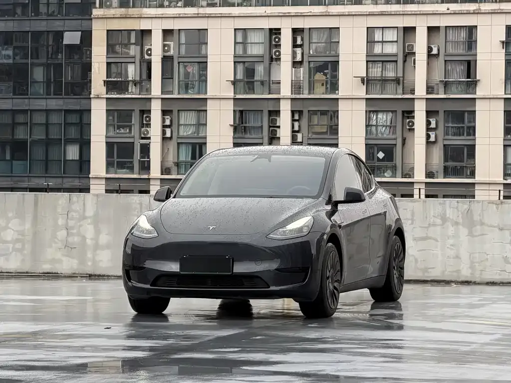 Tesla Model Y 2025 из CN, фото 1
