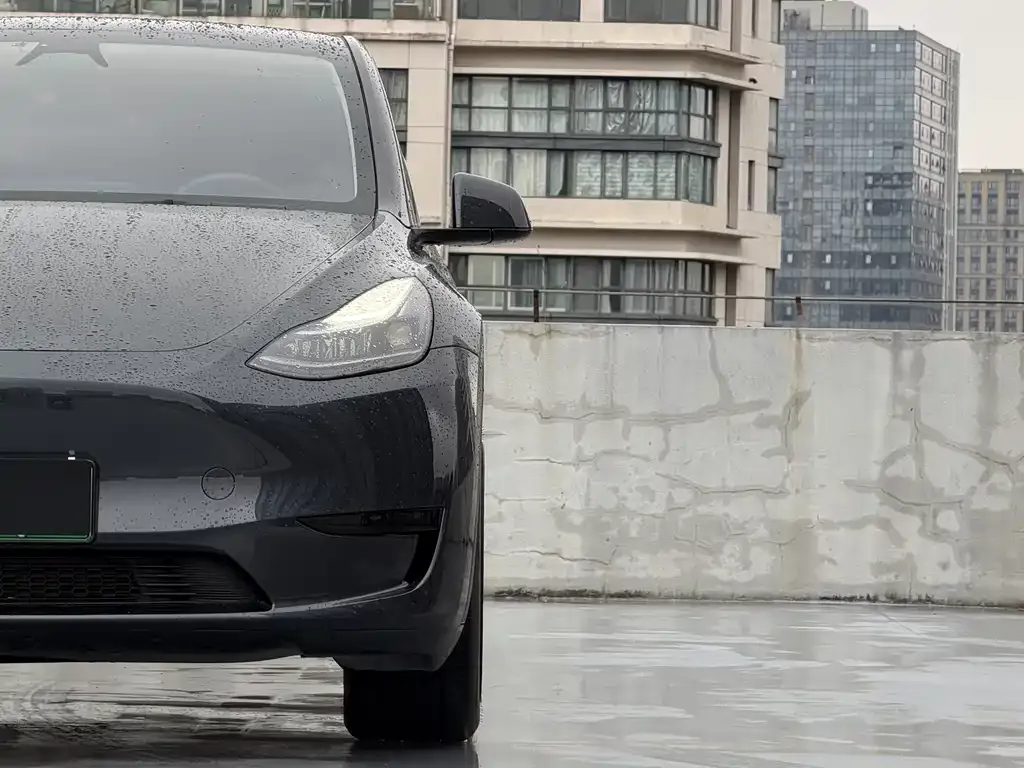 Tesla Model Y 2025 из CN, фото 4