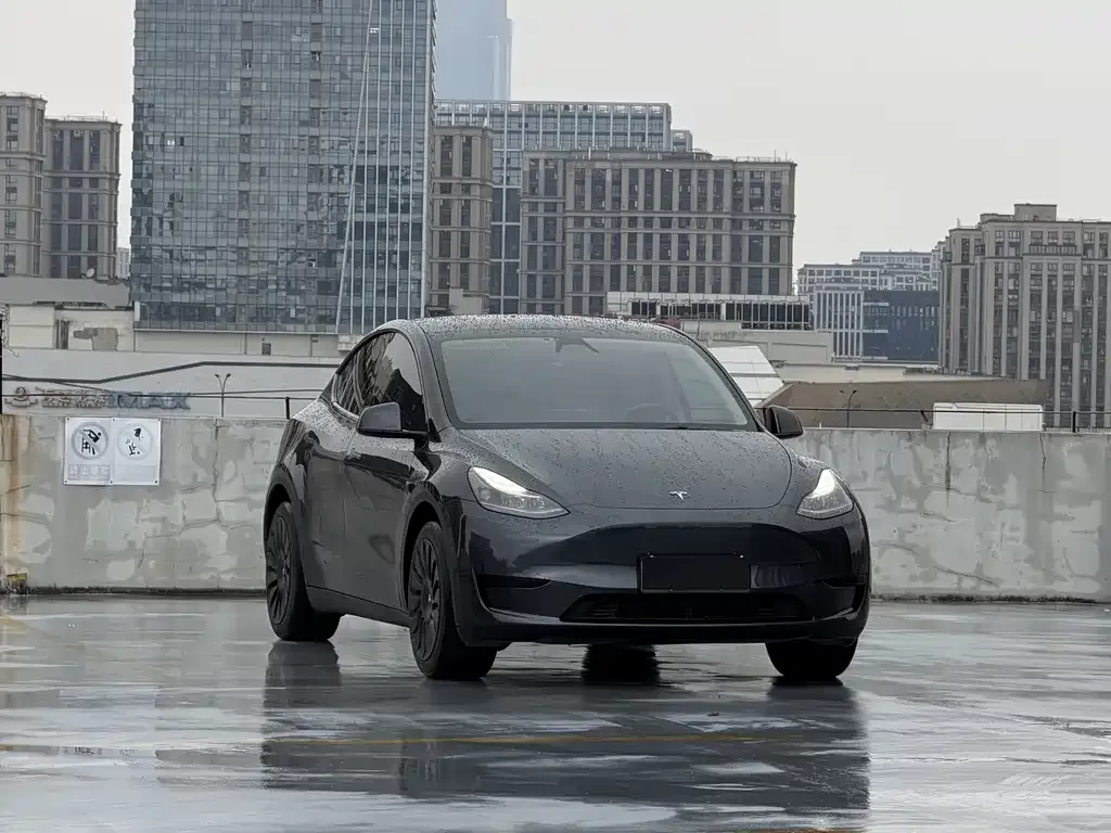 Tesla Model Y 2025 из CN, фото 2