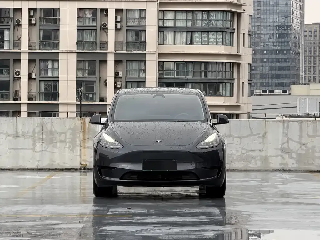 Tesla Model Y 2025 из CN, фото 7