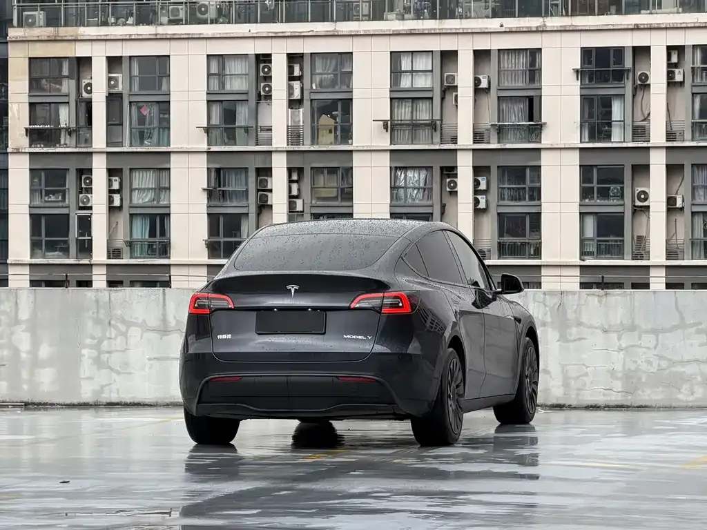 Tesla Model Y 2025 из CN, фото 3