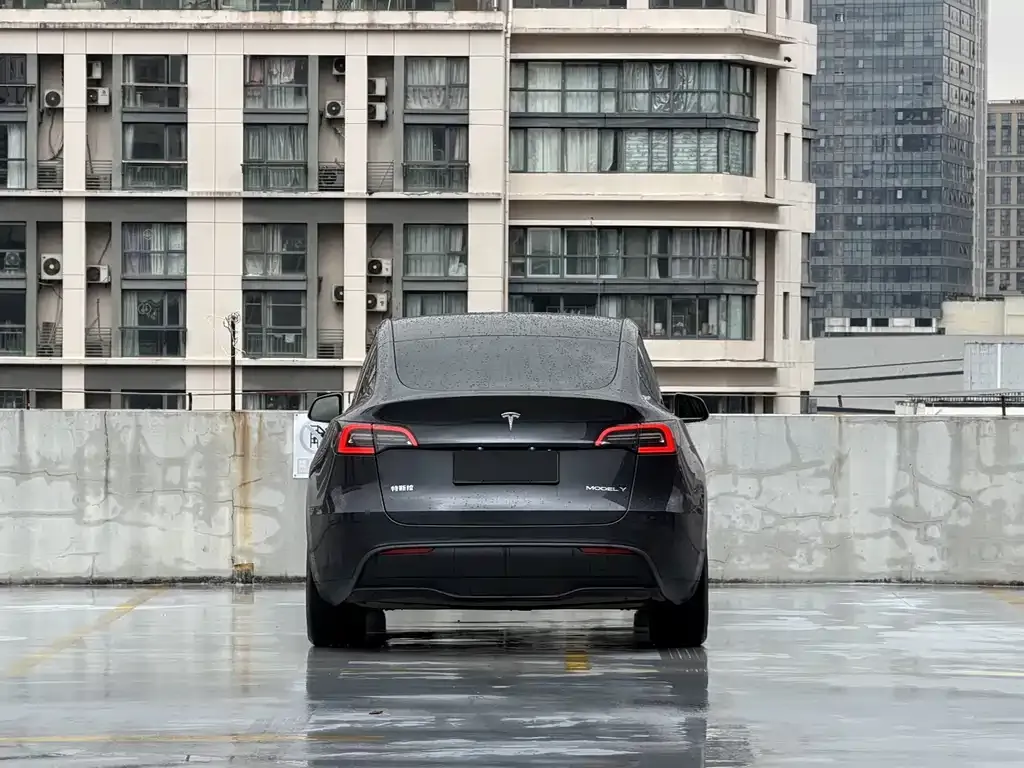 Tesla Model Y 2025 из CN, фото 9