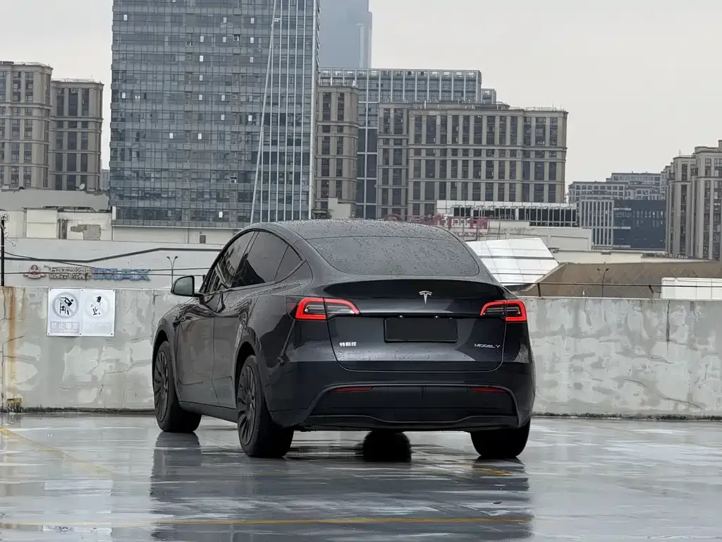 Tesla Model Y 2025 из CN, фото 5