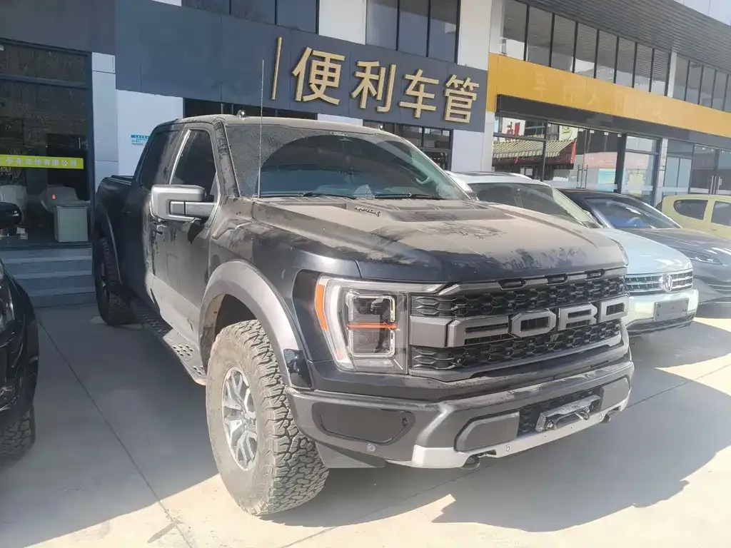 Ford F-150 Raptor 2024 из CN, фото 8
