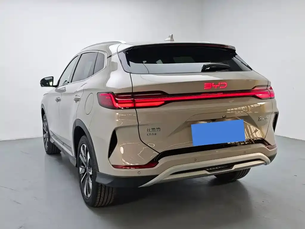 BYD PLUS New Energy — фото 6