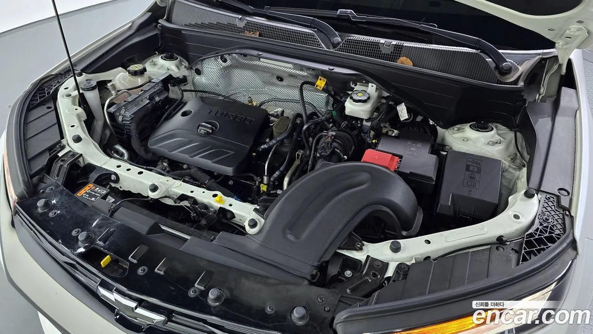Chevrolet (GM Daewoo) Trailblazer 2023 из KR, фото 3