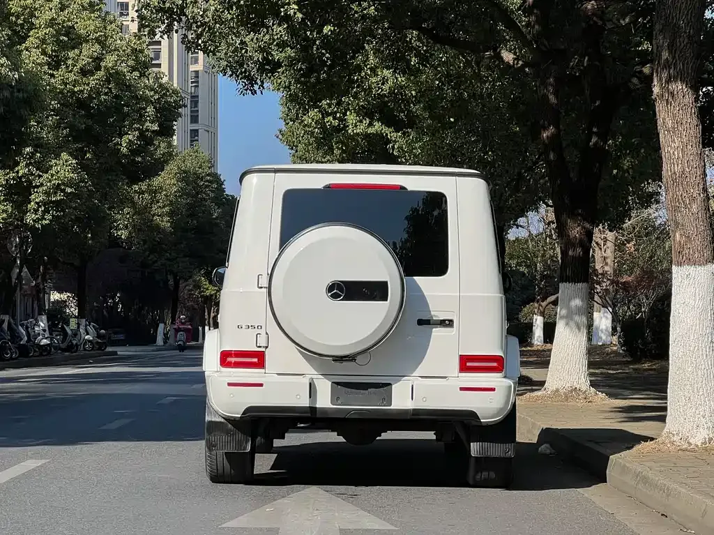 Mercedes-Benz G-Class 2022 из CN, фото 4
