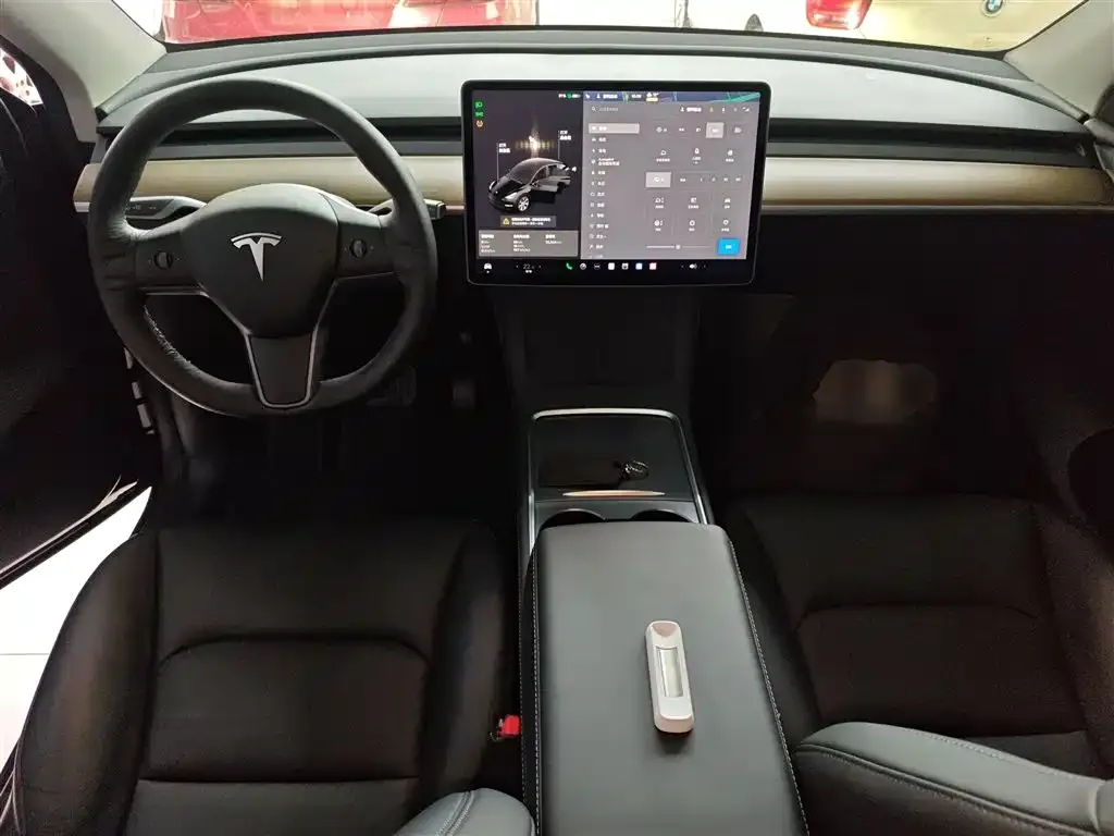 Tesla Model Y 2021 из CN, фото 2