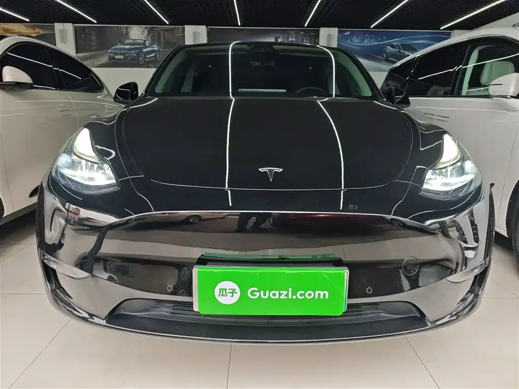 Tesla Model Y 2021 из CN, фото 6