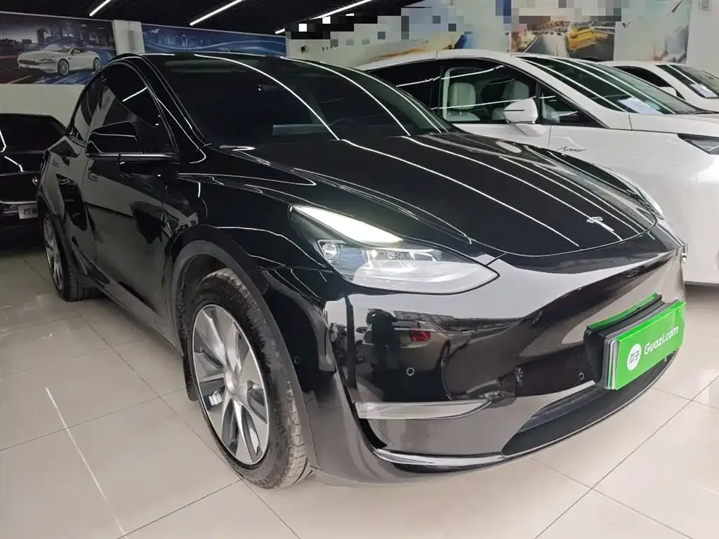 Tesla Model Y 2021 из CN, фото 5