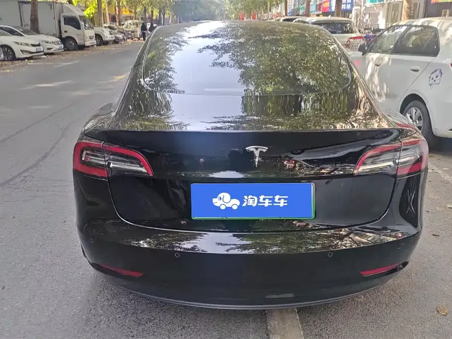 Tesla Model 3 2021 из CN, фото 4
