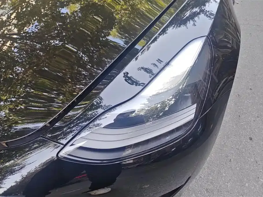 Tesla Model 3 2021 из CN, фото 5