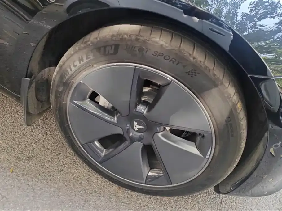 Tesla Model 3 2021 из CN, фото 2
