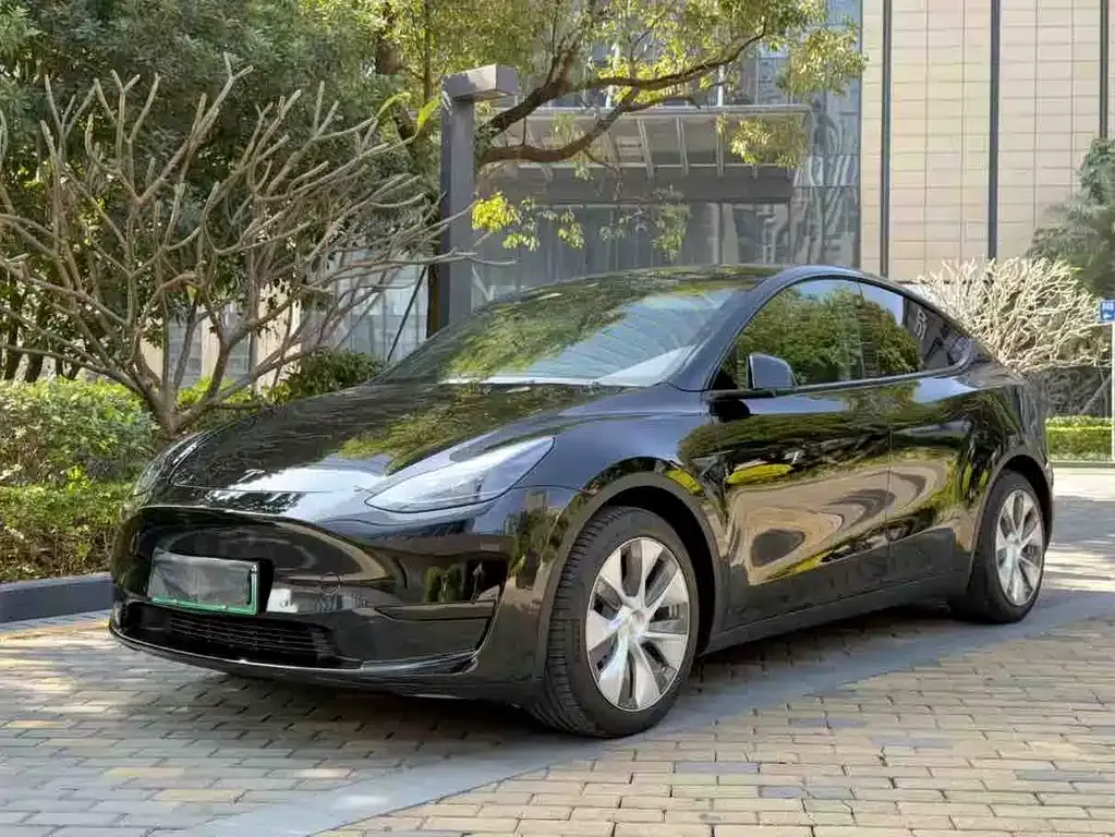 Tesla Model Y 2022 из CN, фото 1