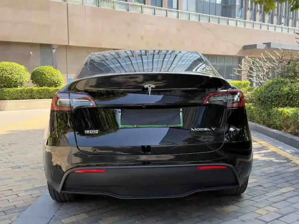 Tesla Model Y 2022 из CN, фото 5