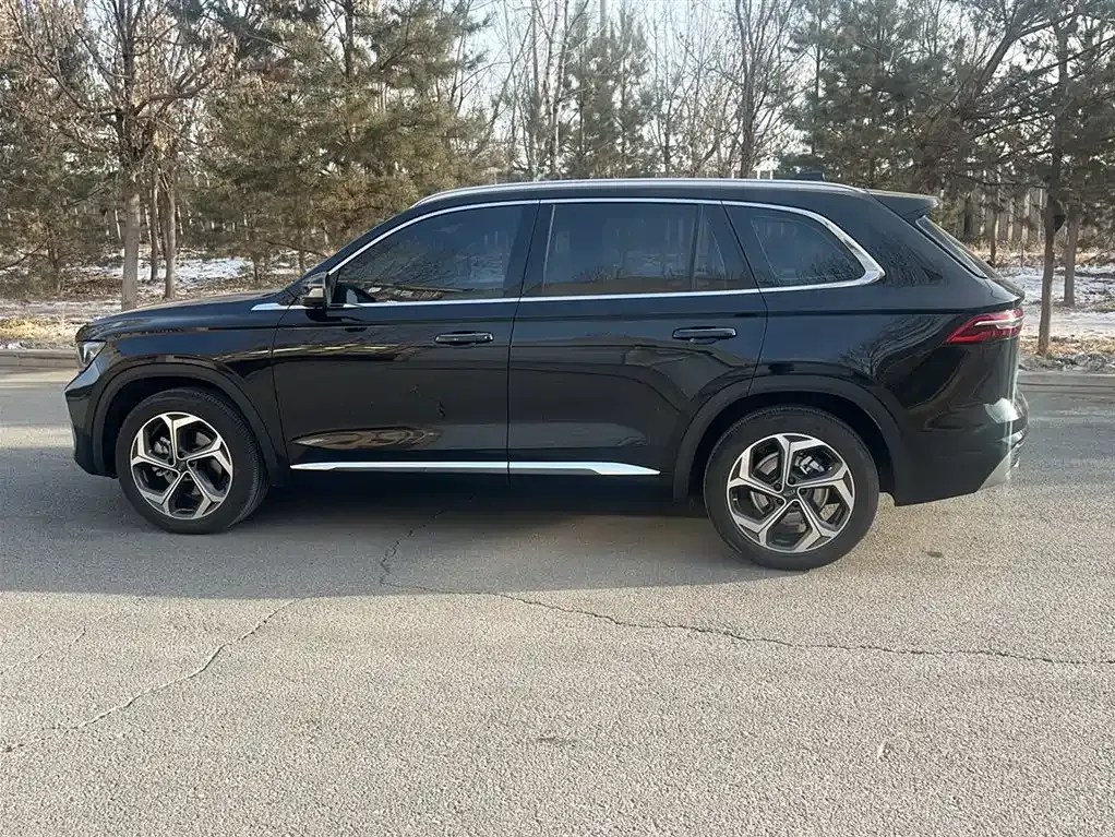 Geely Xingyue L 2025 из CN, фото 10