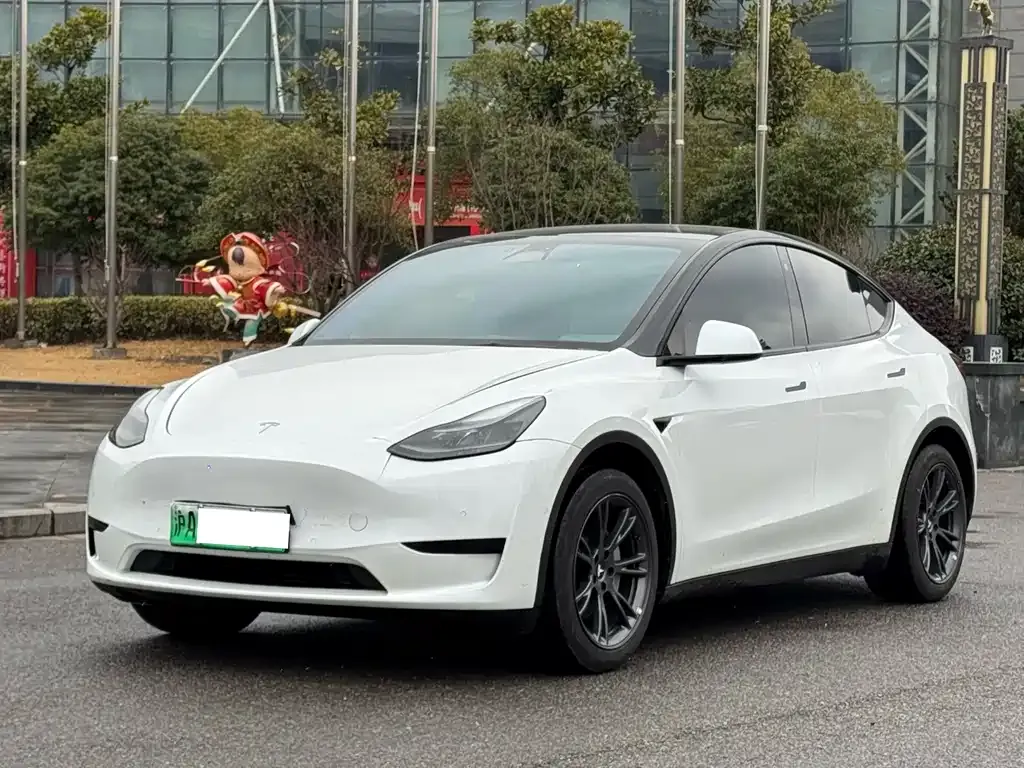 Tesla Model Y 2023 из CN, фото 1