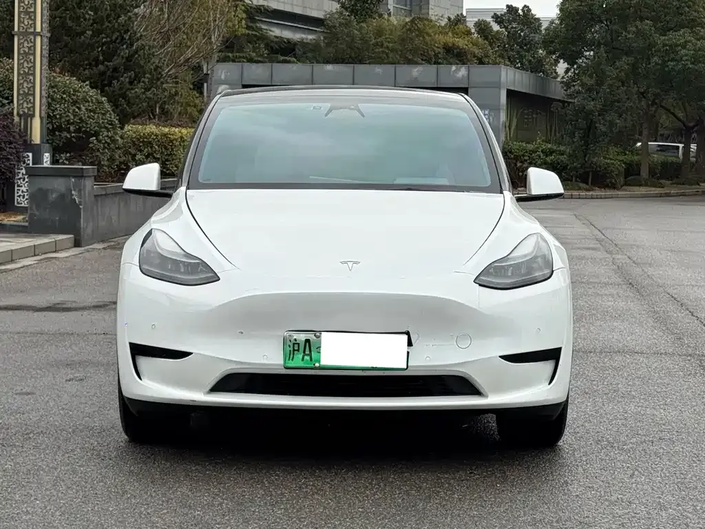 Tesla Model Y 2023 из CN, фото 2