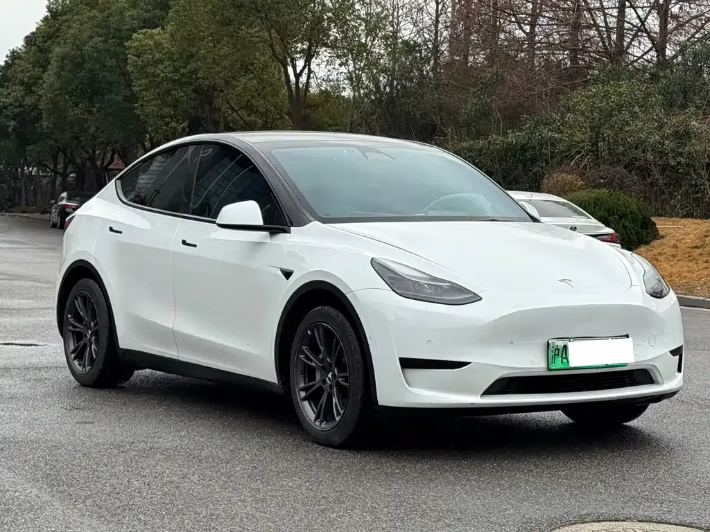 Tesla Model Y 2023 из CN, фото 10