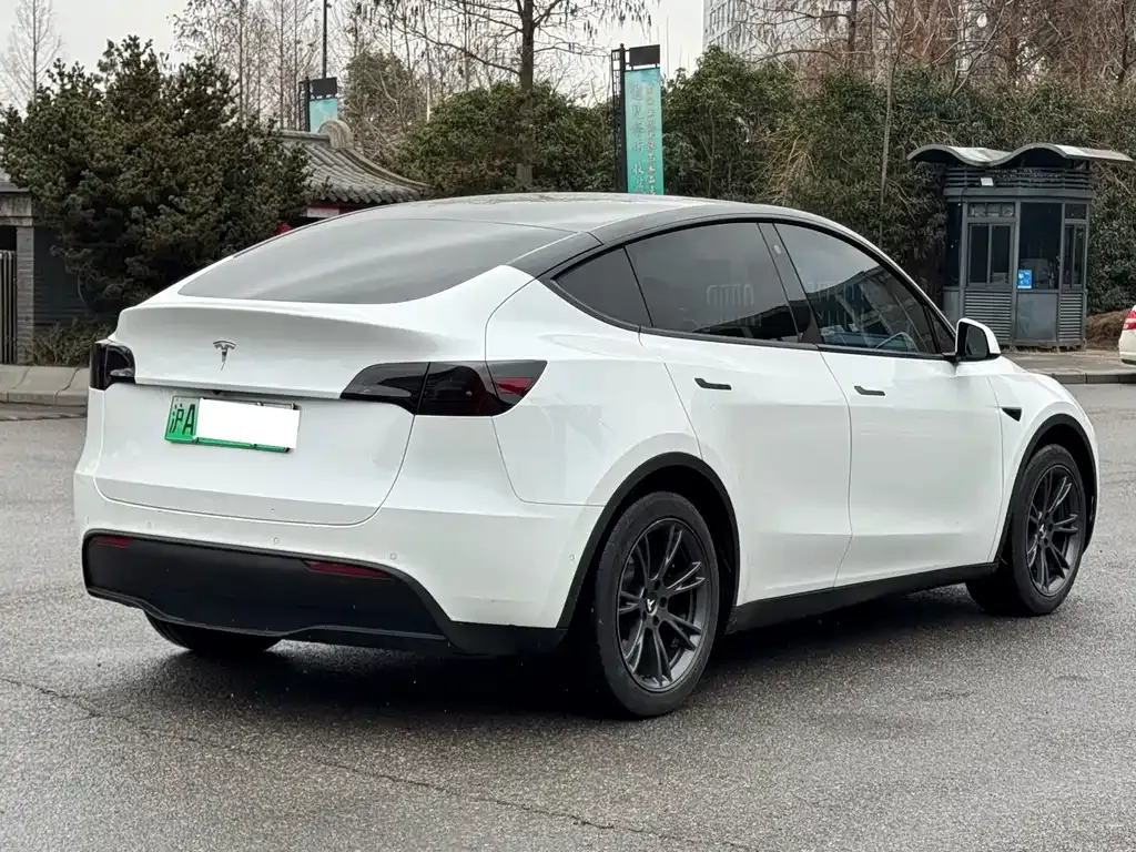 Tesla Model Y 2023 из CN, фото 9
