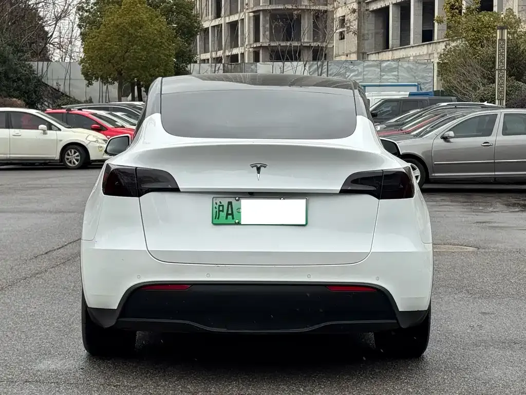 Tesla Model Y 2023 из CN, фото 3