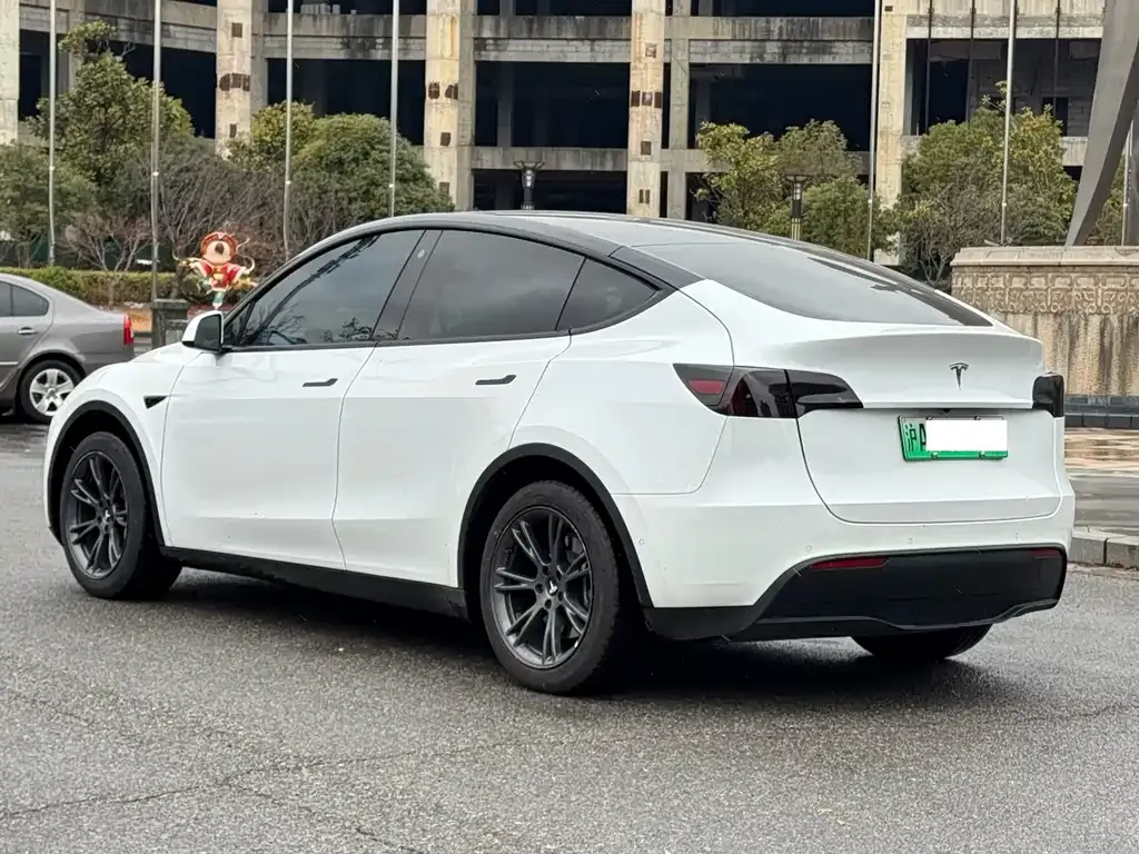 Tesla Model Y 2023 из CN, фото 4