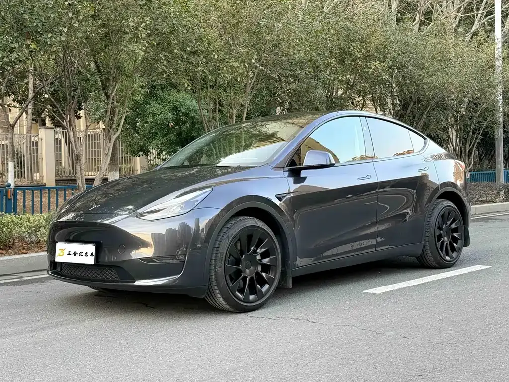 Tesla Model Y 2024 из CN, фото 1