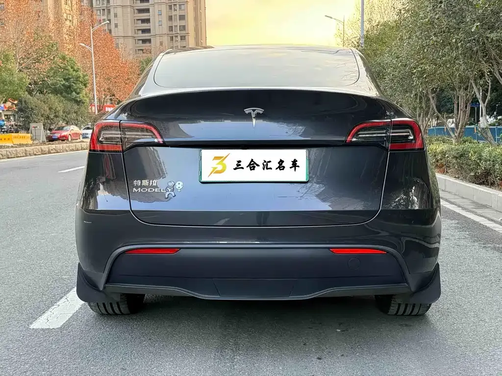 Tesla Model Y 2024 из CN, фото 9