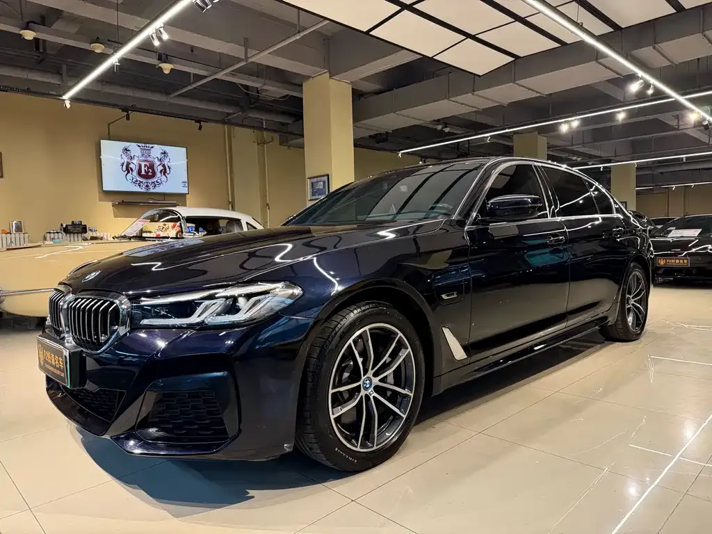 BMW 5 Series New Energy — фото 1