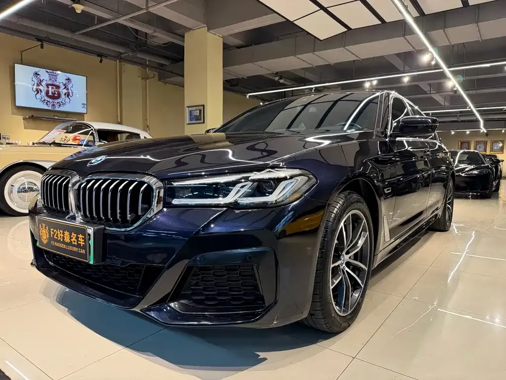 BMW 5 Series New Energy — фото 6