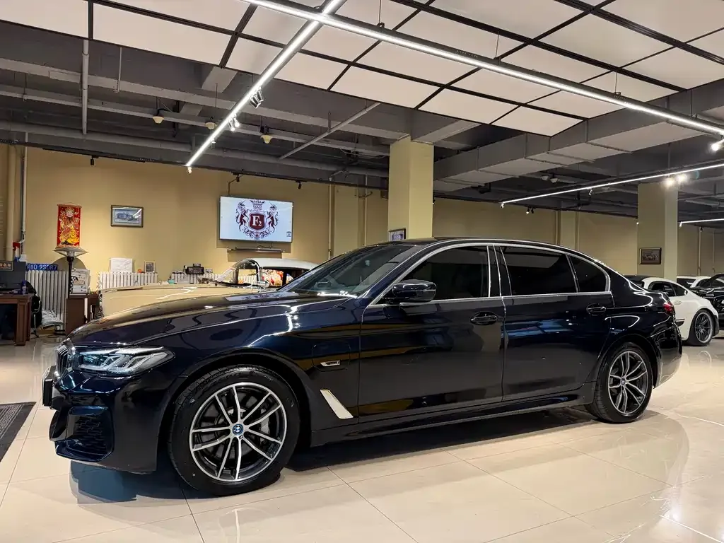 BMW 5 Series New Energy — фото 7