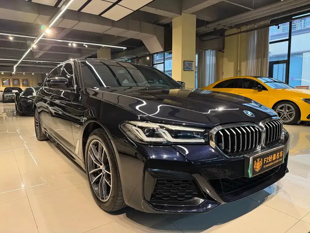 BMW 5 Series New Energy — фото 8