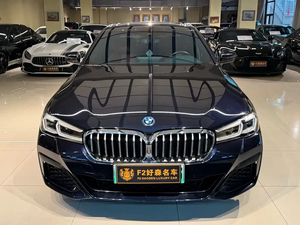 BMW 5 Series New Energy — фото 10