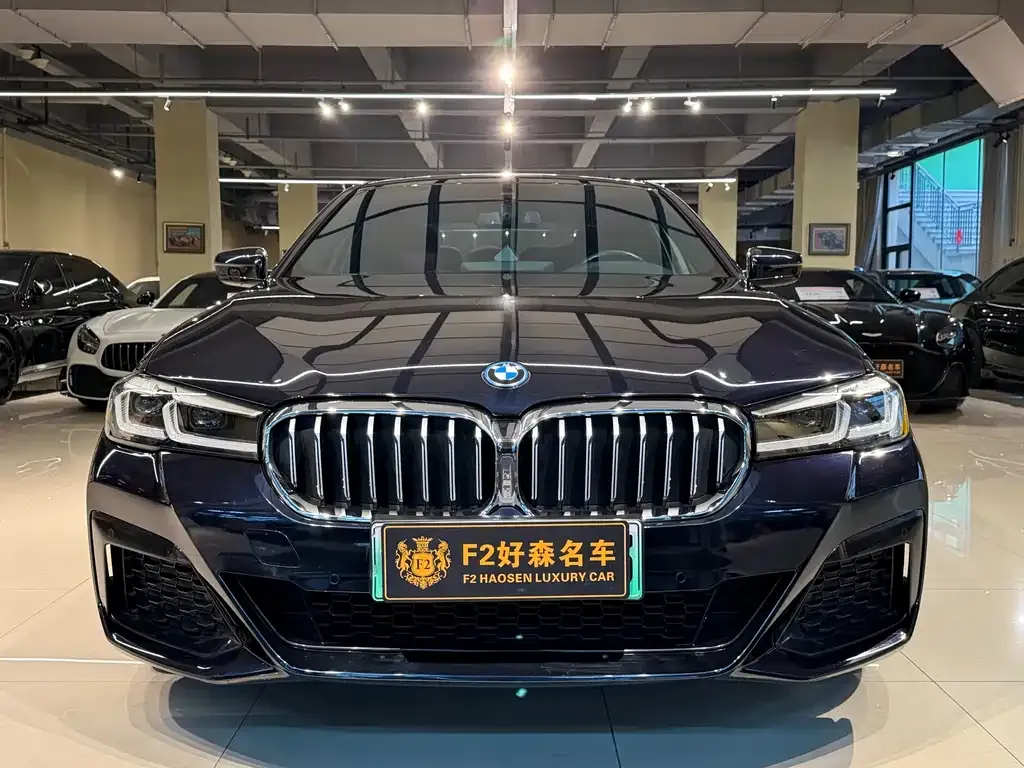 BMW 5 Series New Energy — фото 9