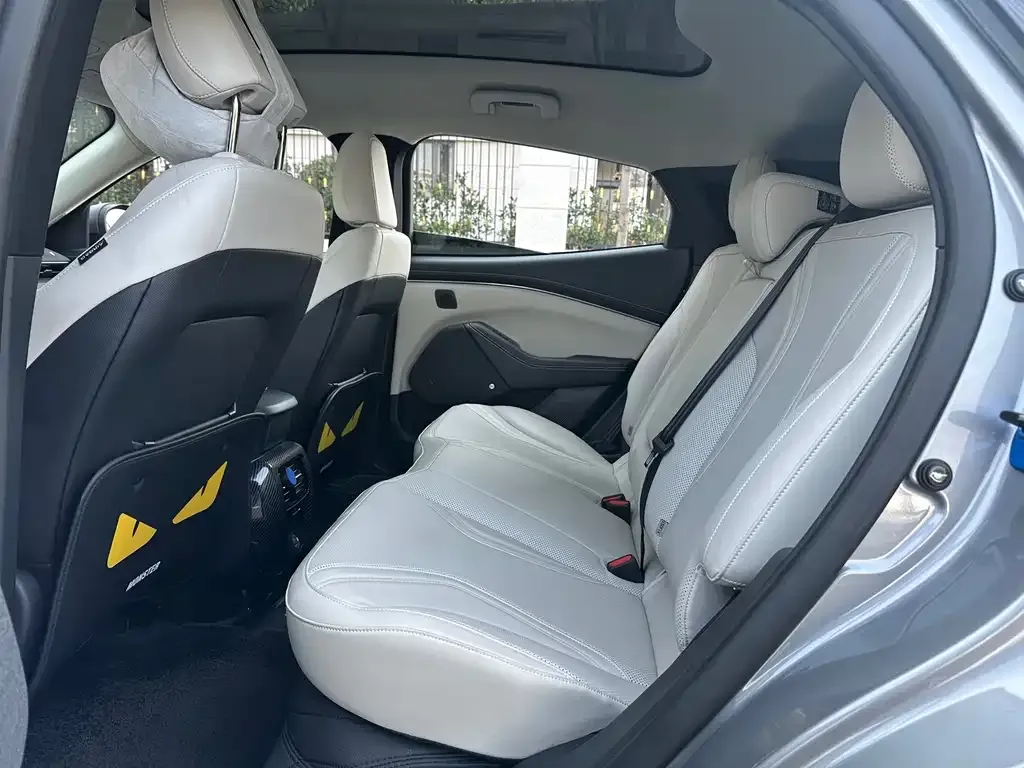 Ford Mustang Mach-E 2022 из CN, фото 5
