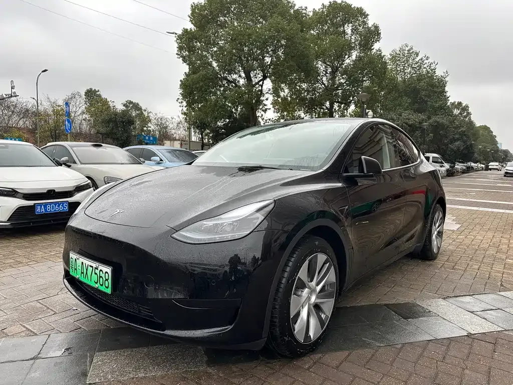 Tesla Model Y 2023 из CN, фото 1