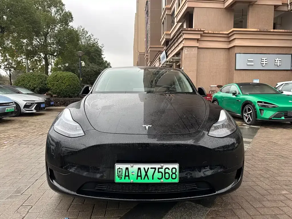 Tesla Model Y 2023 из CN, фото 8