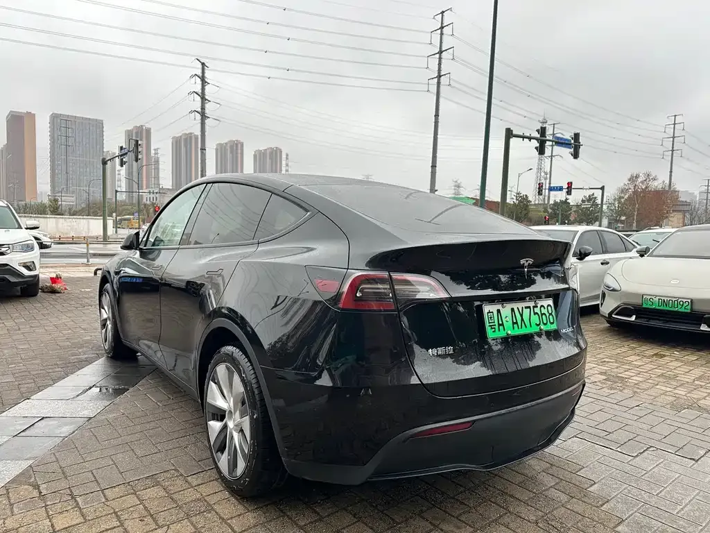 Tesla Model Y 2023 из CN, фото 3