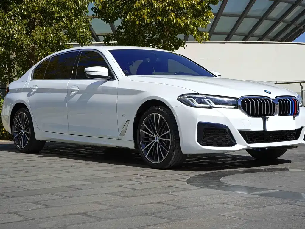 BMW 5 Series 2023 из CN, фото 8