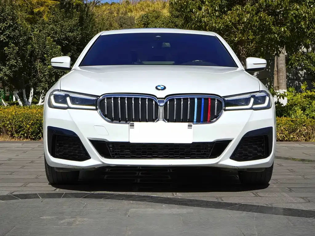 BMW 5 Series 2023 из CN, фото 9