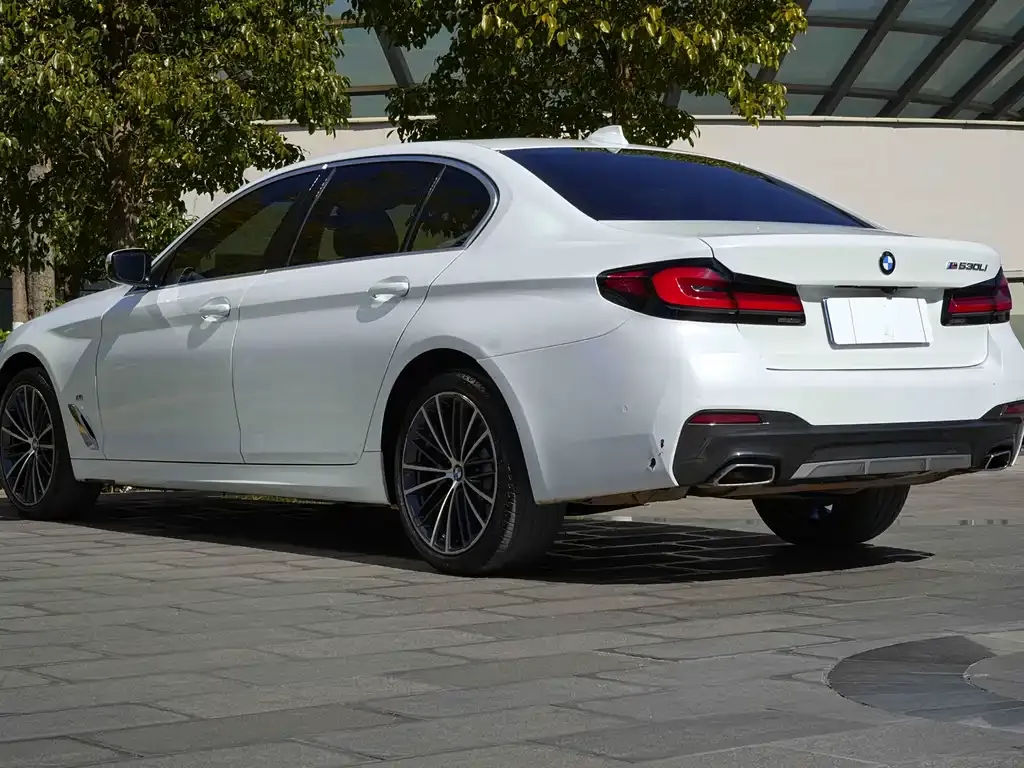 BMW 5 Series 2023 из CN, фото 2